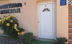 Apartments Kozjan